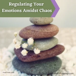 A stack of 5 stones of varying shades of grays and browns with a sprig of white flowers sticking out of the stack to show the power of regulation amidst chaos.