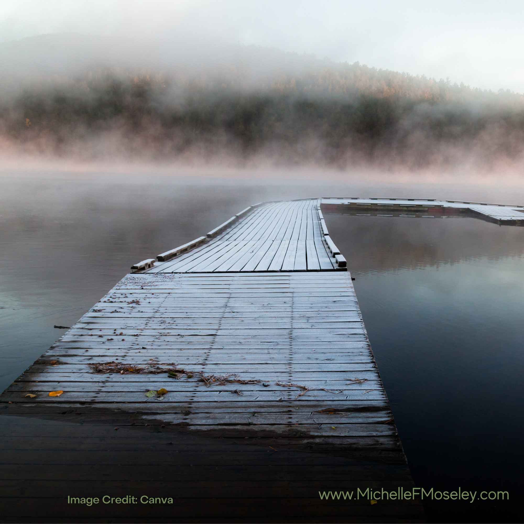 A portion of a wooden bridge emerging from the water and going off into the distance.