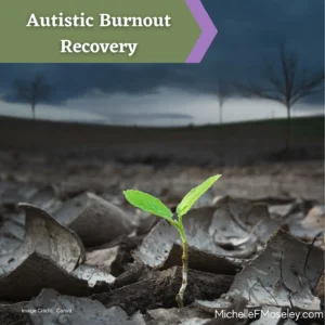 A tiny spring of green is growing through dark, dry soil to demonstrate the process of reemerging from Autistic burnout.