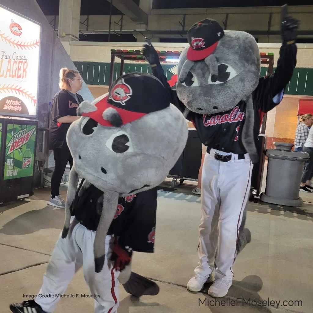 Mascots at a local minor league baseball game.