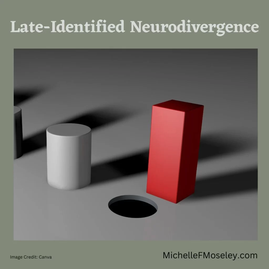 Image of a red rectangle trying to fit into a circular opening to show the struggle many neurodivergent individuals feel in navigating a world not built for them.