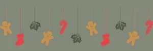 A green banner with hanging clipart icons related to winter/ Christmas, including a stocking, candy cane, holly leaf, and gingerbread person.