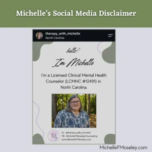 Screenshot of a post on the author's Instagram profile showing her social media disclaimer.